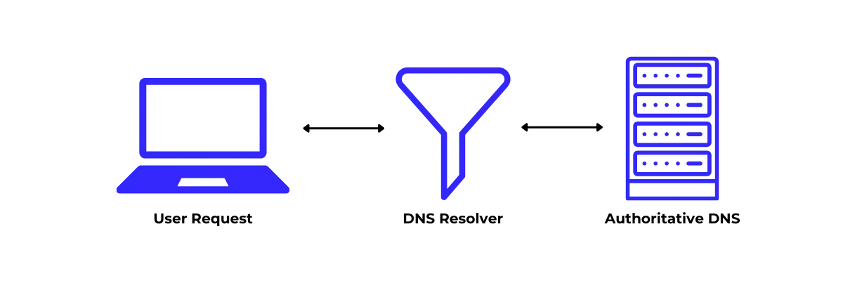 DNS Encryption Evolution