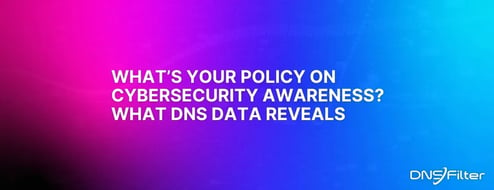 What’s Your Policy on Cybersecurity Awareness? What DNS Data Reveals